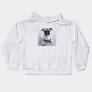 Low Poly Pug Kids Hoodie